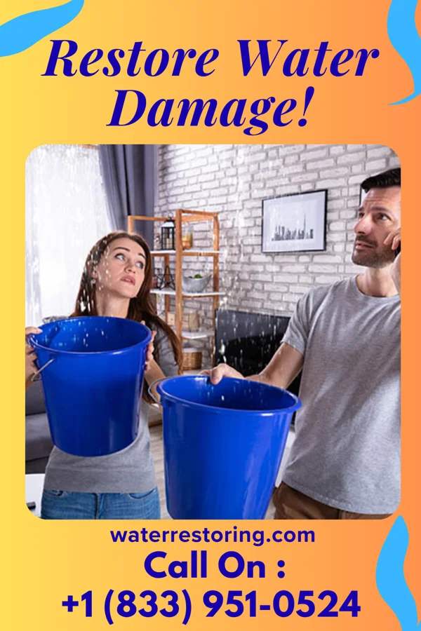 water restoration First Restoration Solutions Solutions Loghill Village