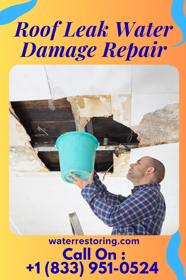 Roof Leak Water Damage Repair in Loghill Village, CO